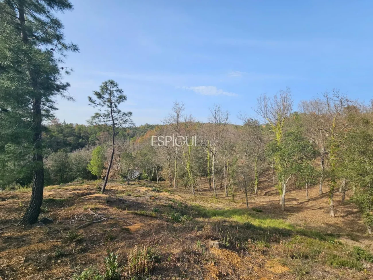 Parcela urbana de 2400 m² en Mas Llunes de Bescanó