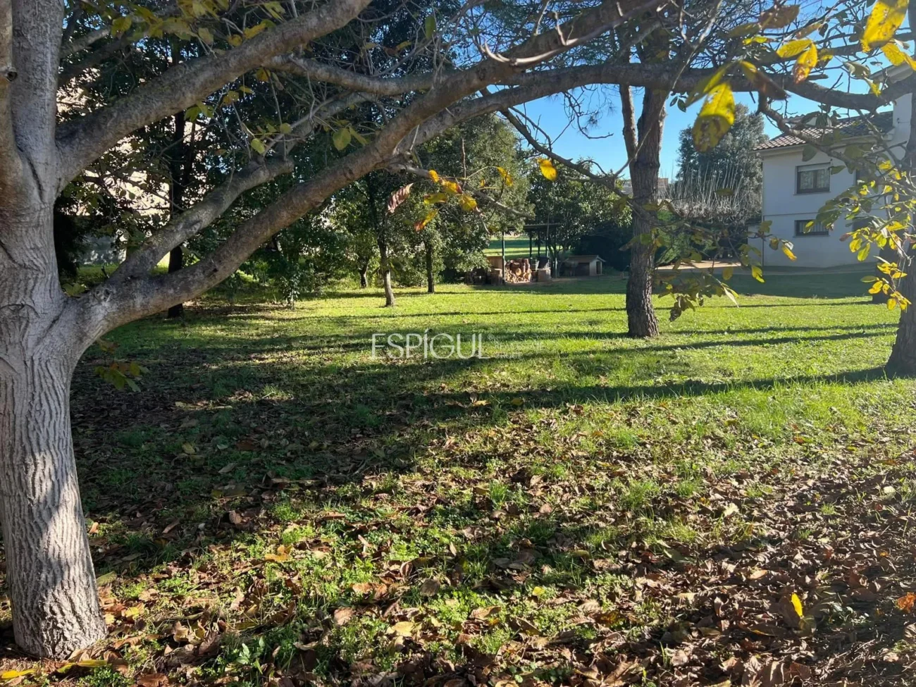 Exklusive Grundstücke mit Flächen zwischen 500 und 650 Quadratmetern