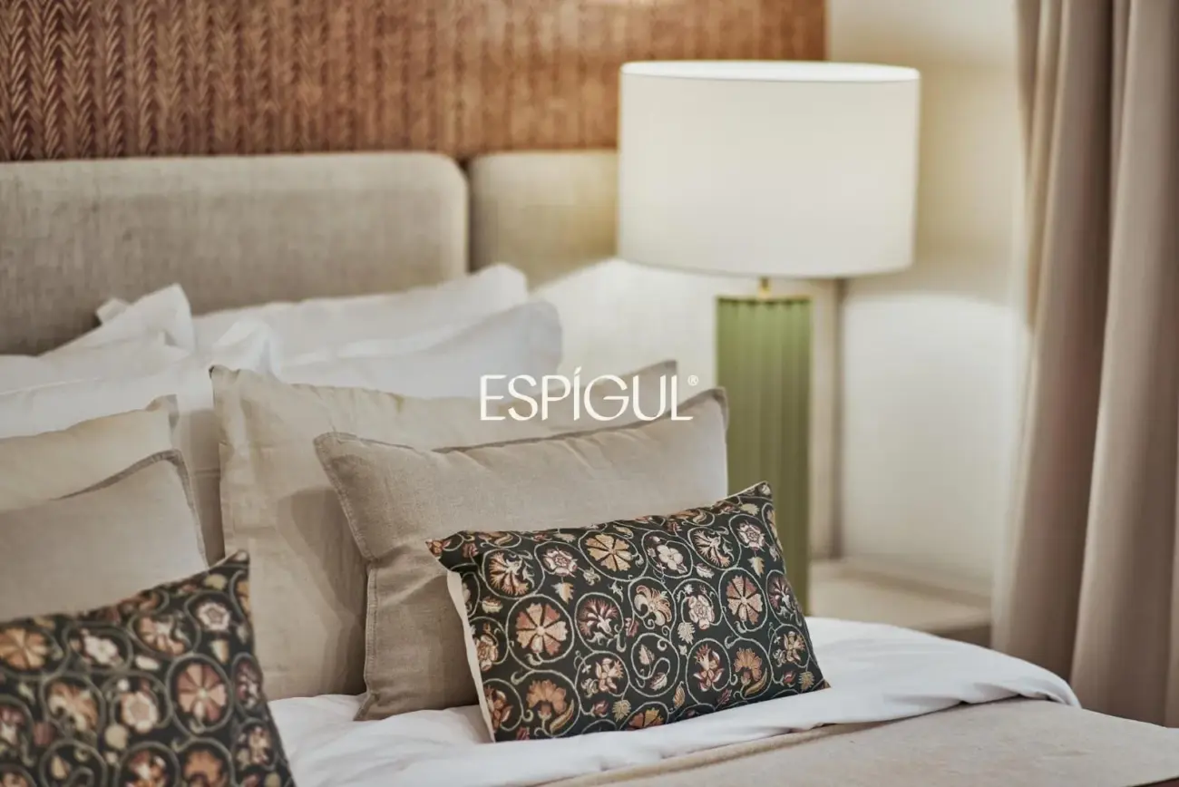 Renovated Apartment in Calle General Pardiñas, Goya