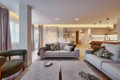 Renovated Apartment in Calle General Pardiñas, Goya