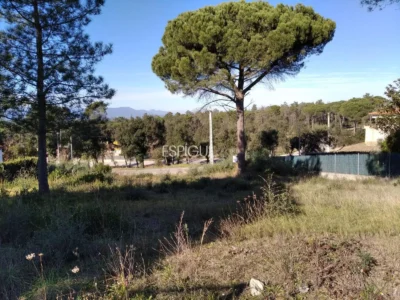 Terrain spacieux à Sils, idéal pour votre future maison