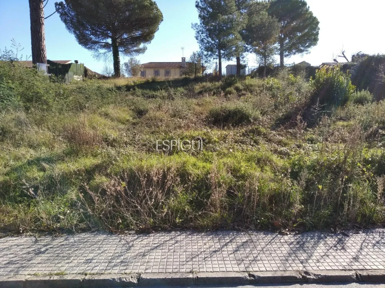 Terrain spacieux à Sils, idéal pour votre future maison