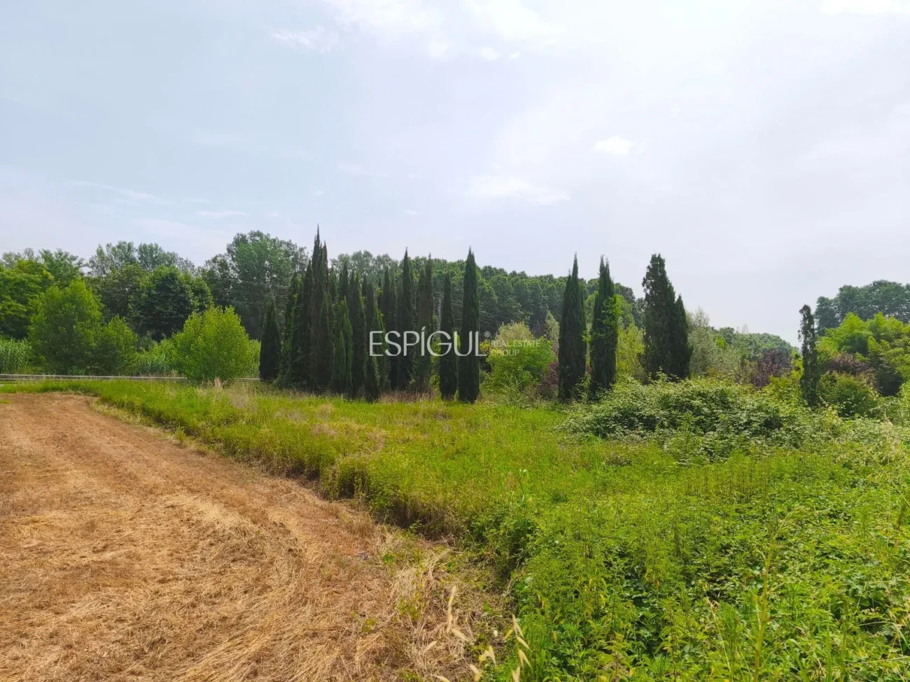 Terreno ideal para viveros o agrícola