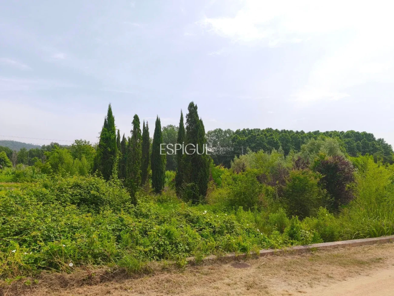 Terreno ideal para viveros o agrícola