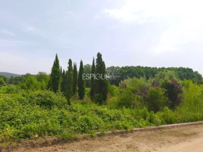 Terreno ideal para viveros o agrícola