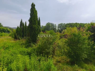 Terreno ideal para viveros o agrícola