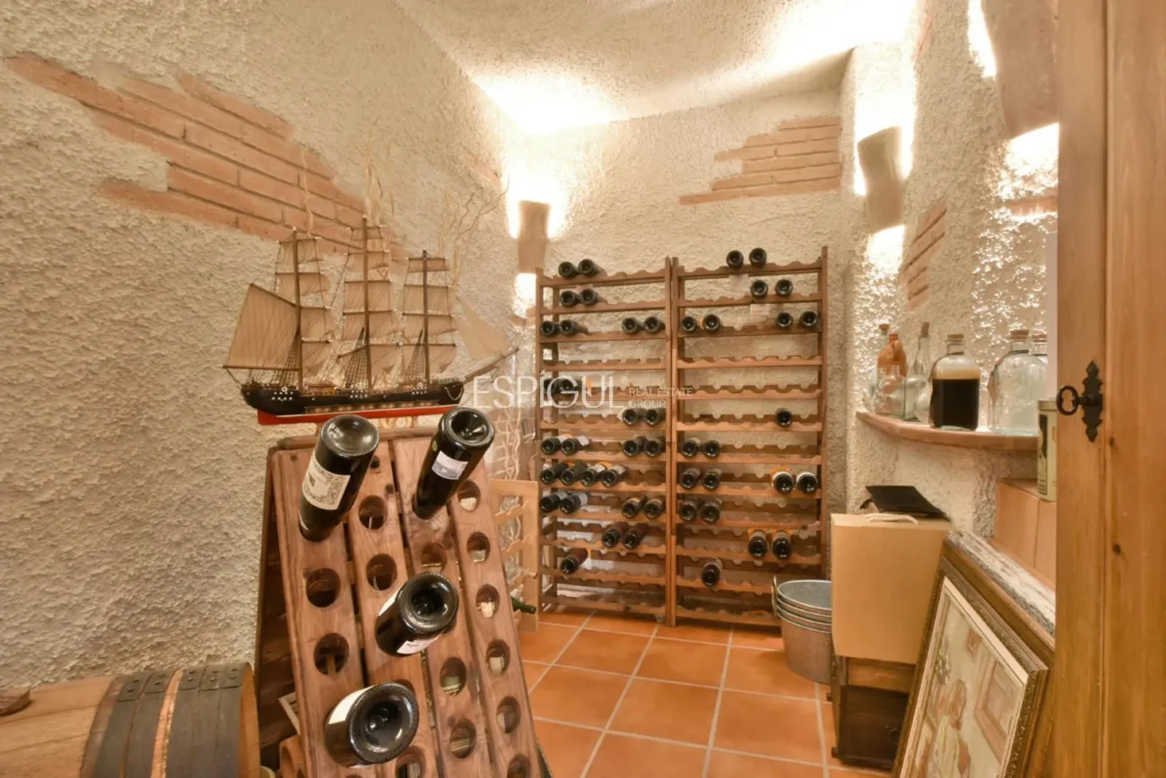 Двухквартирный дом с захватывающим видом в Сант-Бергер, Тейя