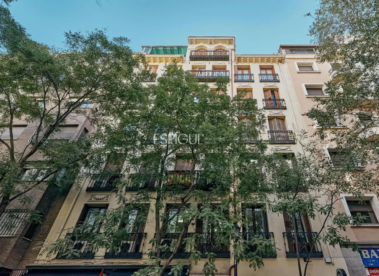 Exterior apartment on General Pardiñas street, Goya