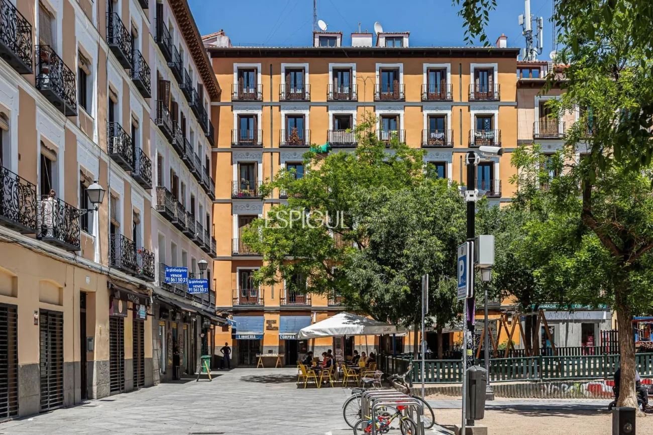 Renovated apartment for sale in Plaza Dos de Mayo, Malasaña
