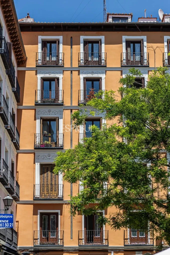 Renovated apartment for sale in Plaza Dos de Mayo, Malasaña