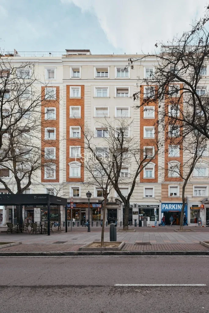 Beautifully renovated apartment in Retiro