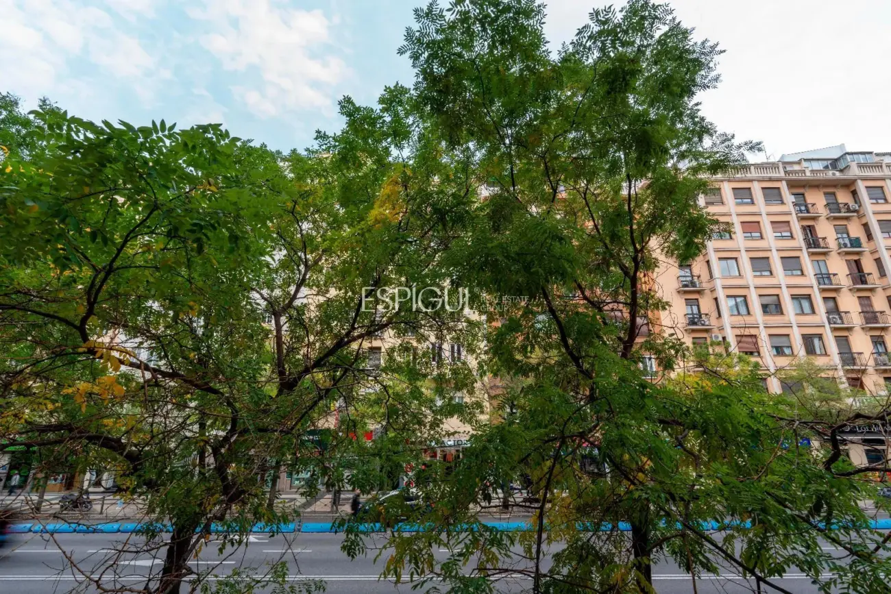 Piso exterior y luminoso en Calle Alcalá, Goya