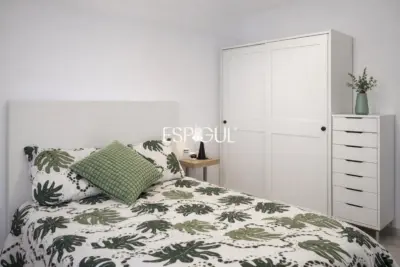 Ampli pis amb 6 habitacions a Tenor Masini