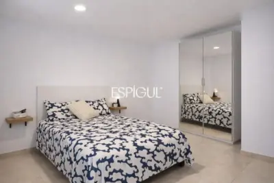 Ampli pis amb 6 habitacions a Tenor Masini