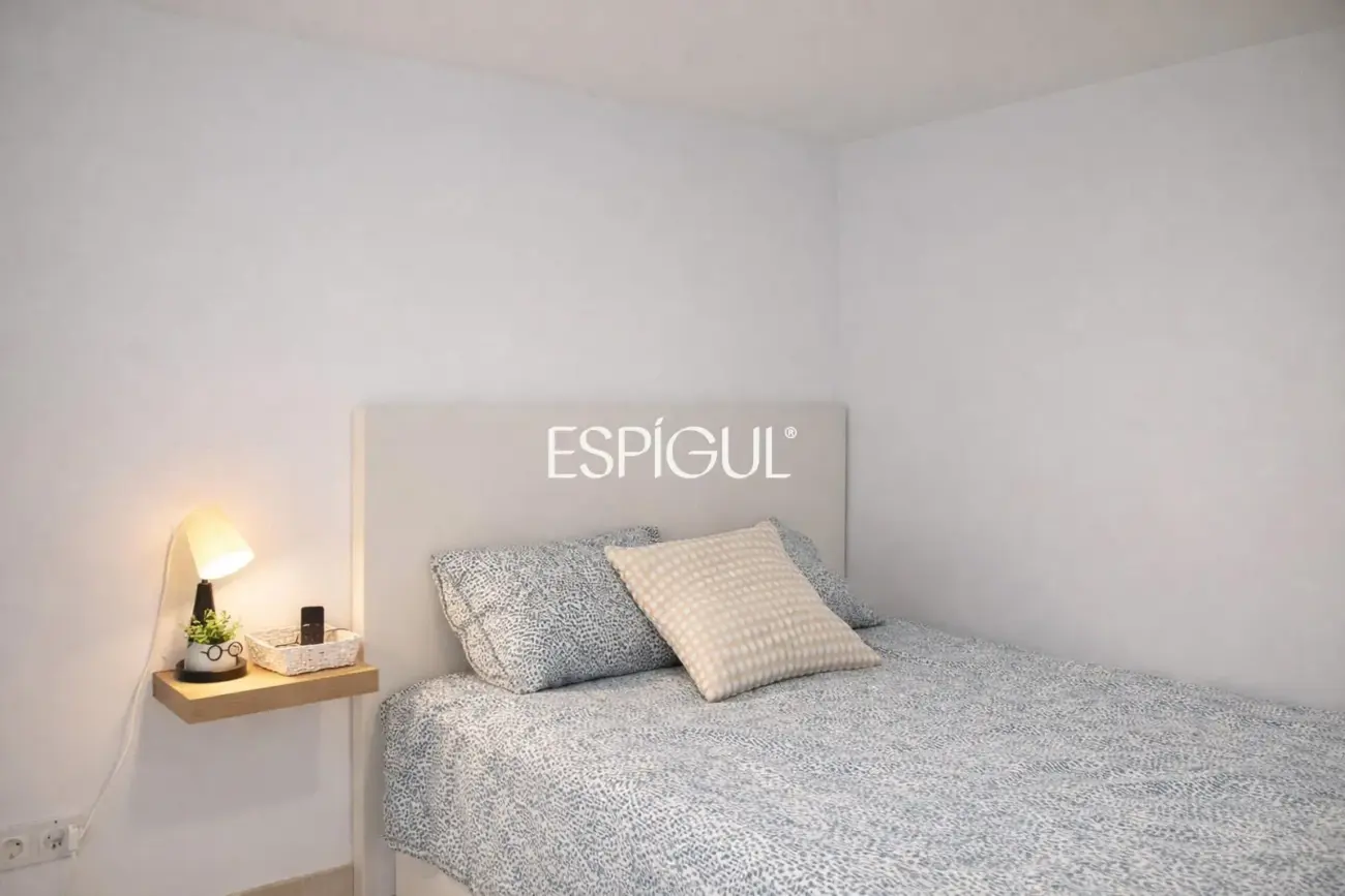 Ampli pis amb 6 habitacions a Tenor Masini