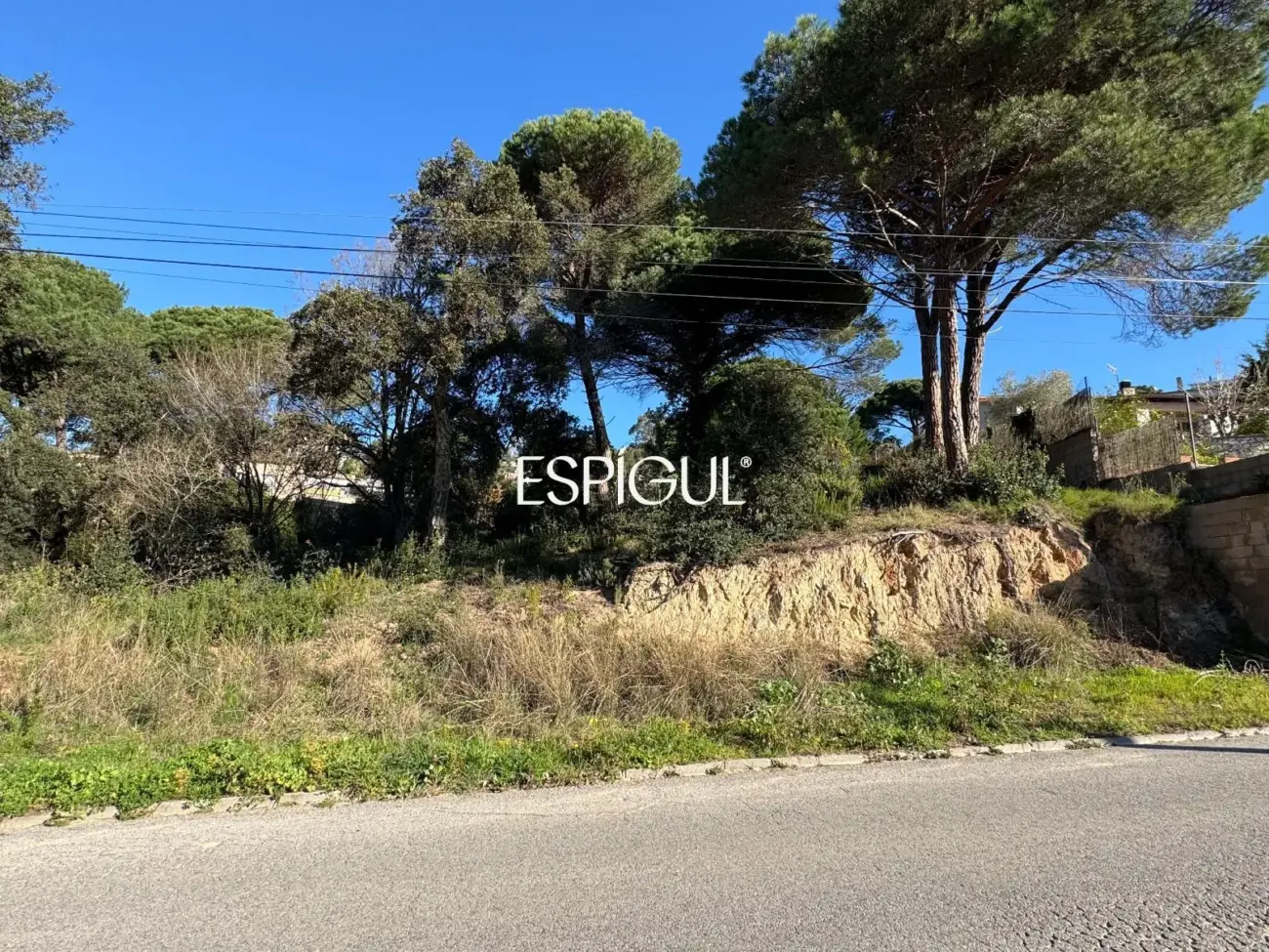 Parcel·la urbanitzable a Aiguaviva Parc (Vidreres)