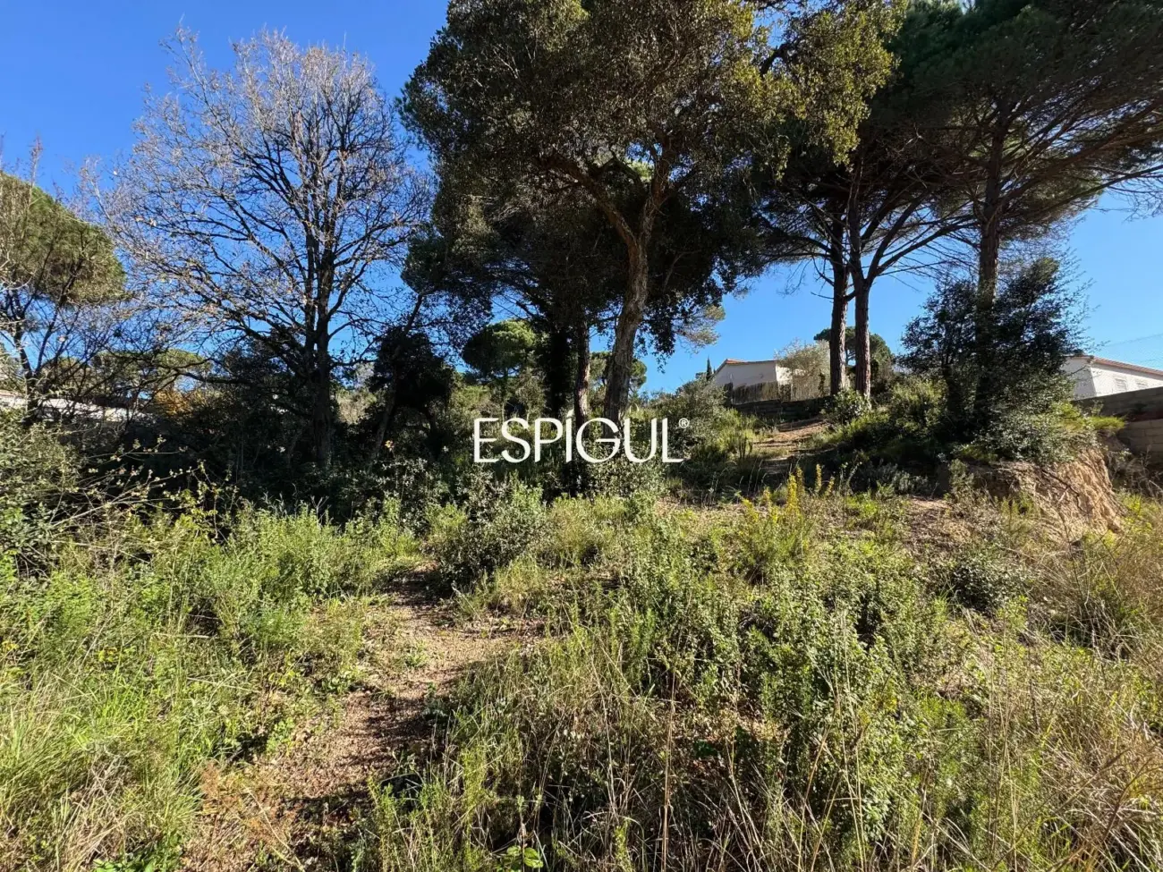 Parcel·la urbanitzable a Aiguaviva Parc (Vidreres)