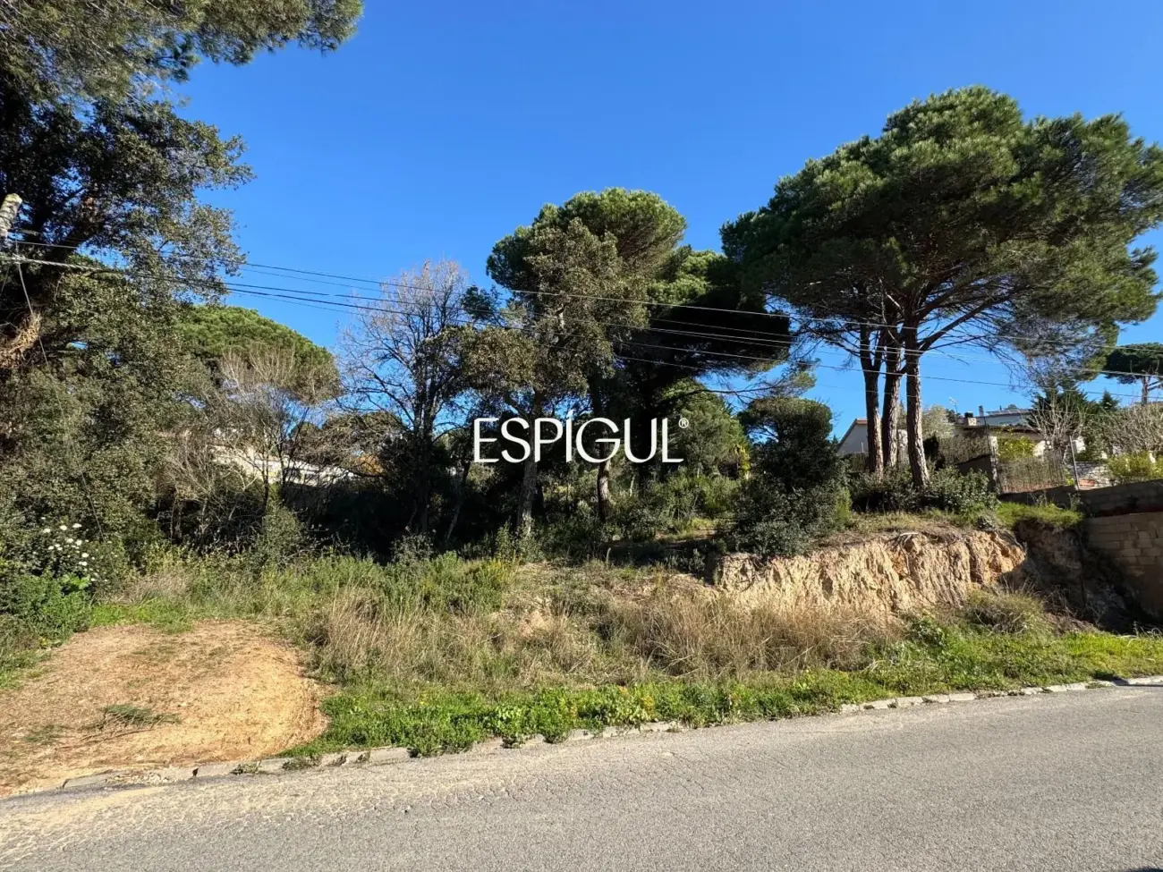 Parcel·la urbanitzable a Aiguaviva Parc (Vidreres)