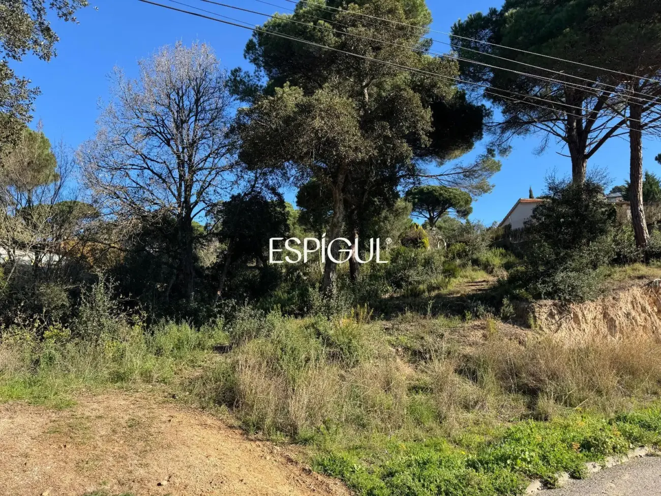 Parcel·la urbanitzable a Aiguaviva Parc (Vidreres)