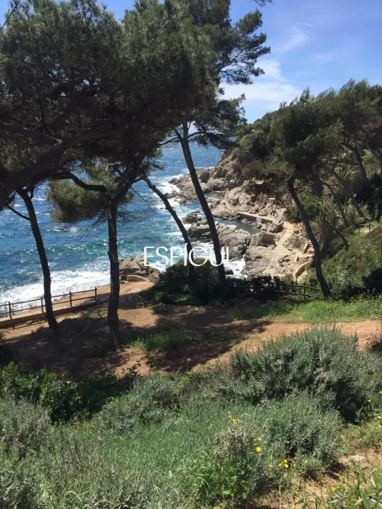 Parcel·la urbanitzable a Aiguaviva Parc (Vidreres)