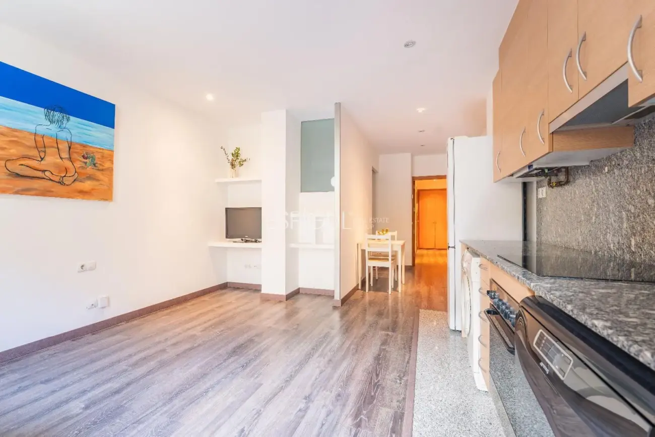 1-bedroom apartment in central Girona with a large terrace, ideal for investors