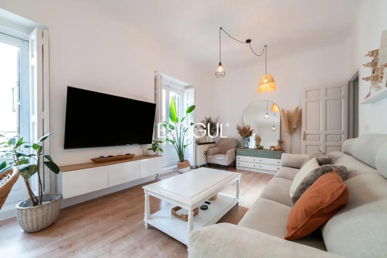 Bright apartment in the heart of Malasaña