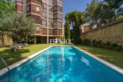 Сады Токио: Самое эксклюзивное и светлое убежище в Педральбесе