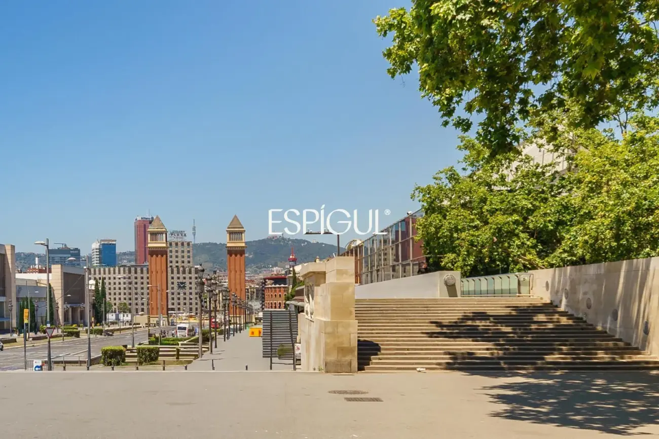 Appartement rénové et lumineux près de la Plaza España