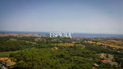 Casa familiar a Finca Verd amb gran potencial