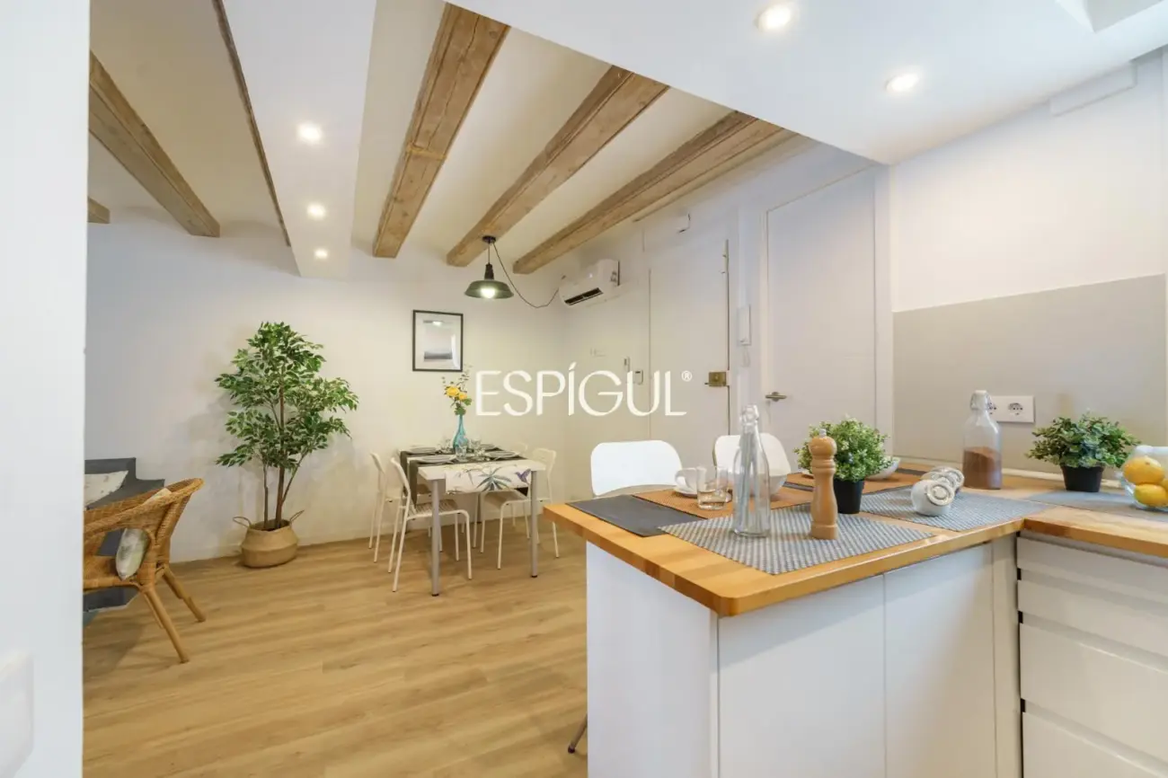 Luminoso piso reformado con suite, balcón tranquilo y terraza comunitaria junto a Rambla del Raval