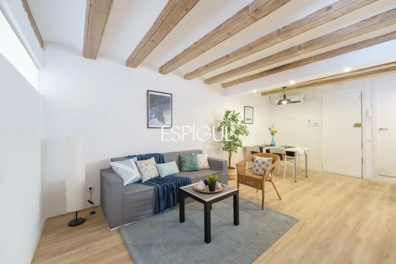 Luminoso piso reformado con suite, balcón tranquilo y terraza comunitaria junto a Rambla del Raval