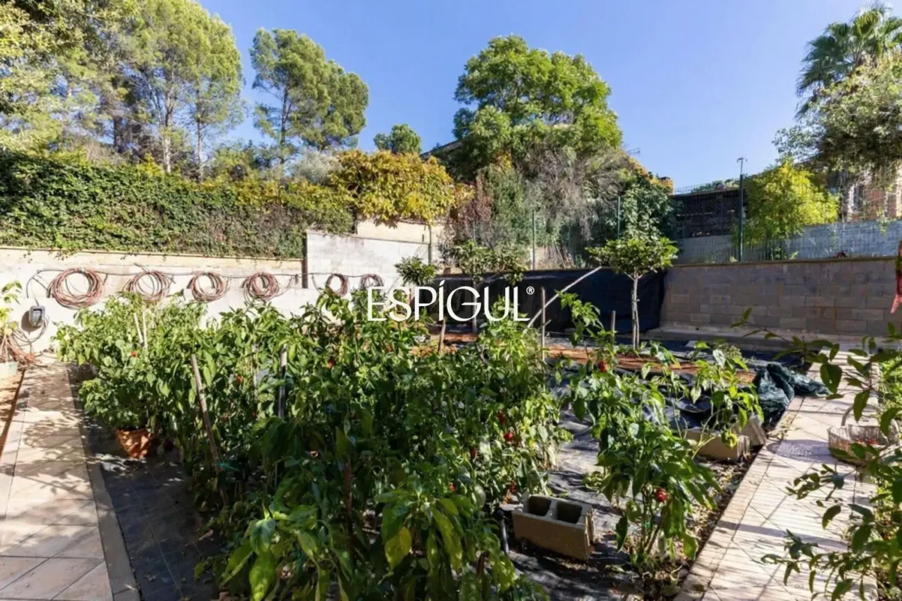Haus mit Pool zur Miete in Sant Cugat – Valldoreix
