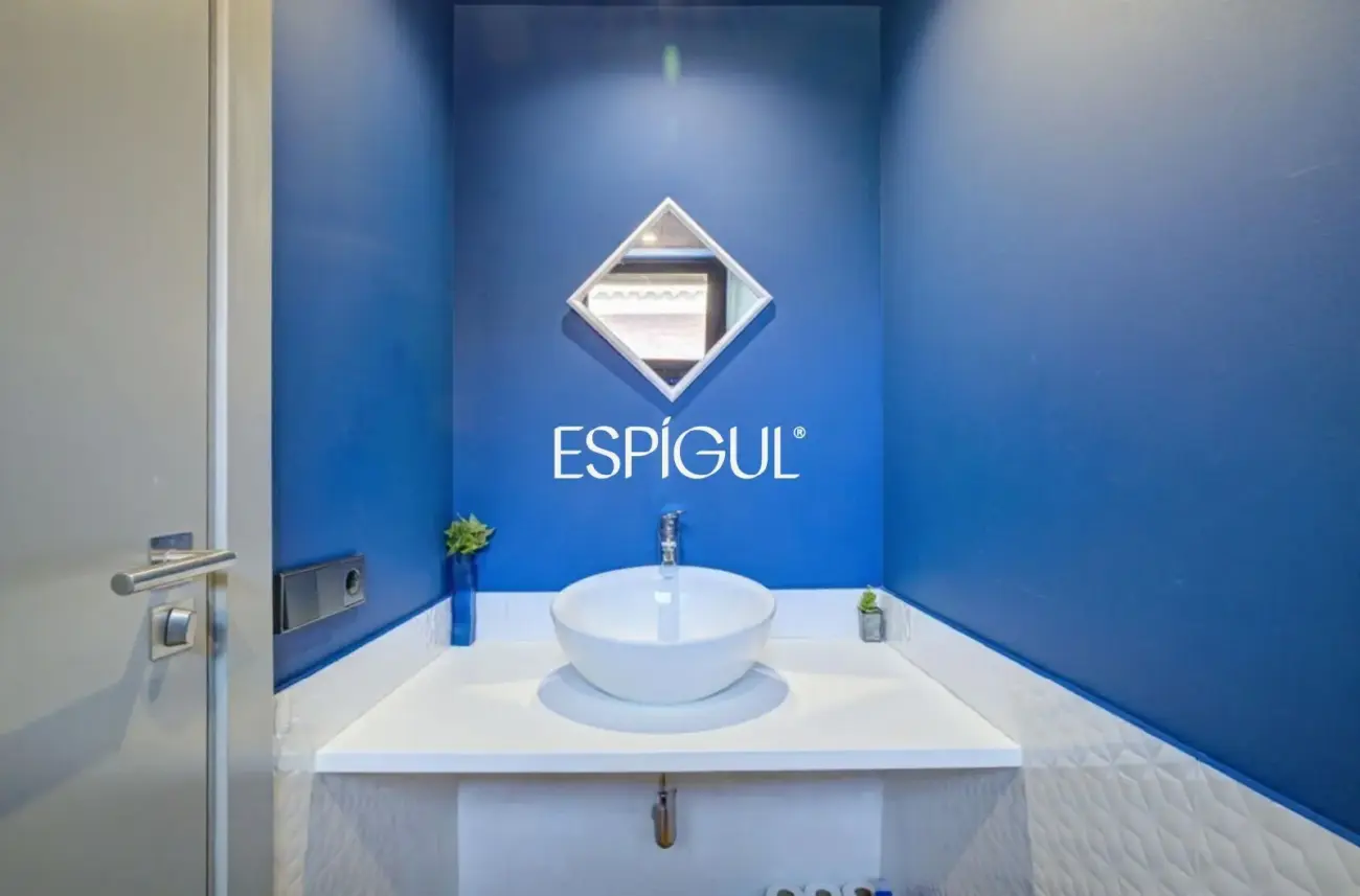 Designer house for sale in Mira-Sol