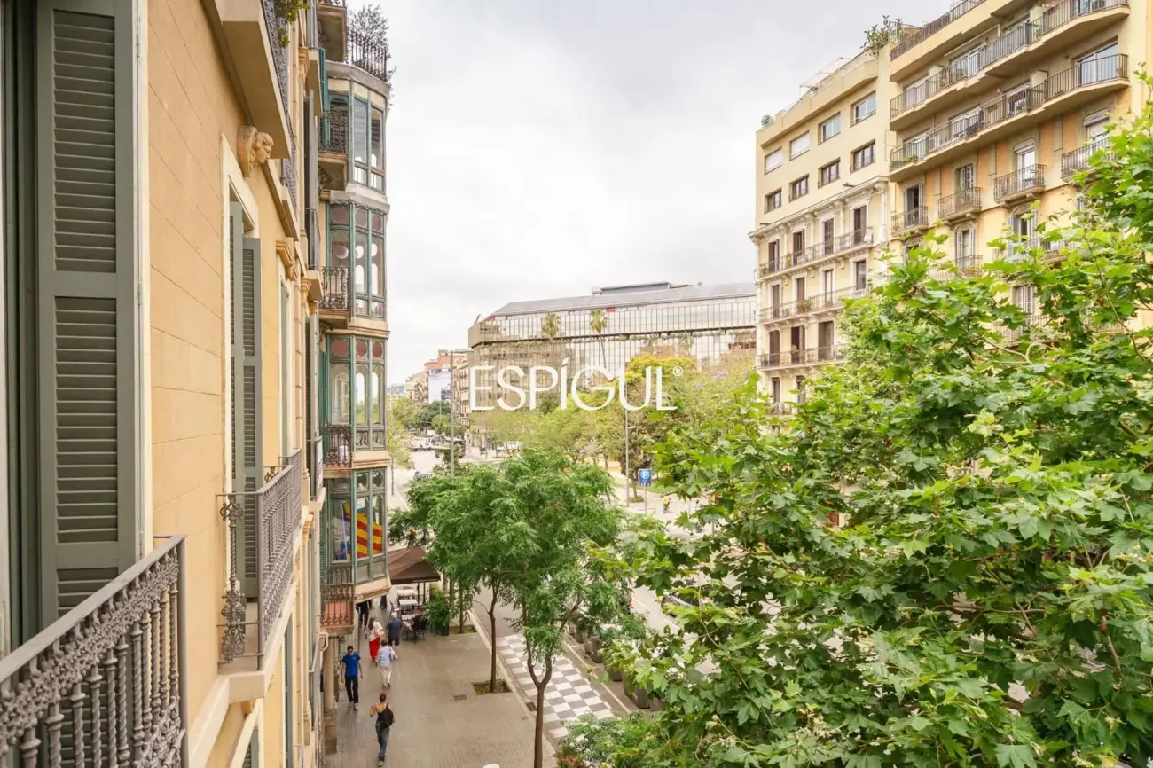 Pis molt lluminós i de disseny al costat de Passeig de Gràcia