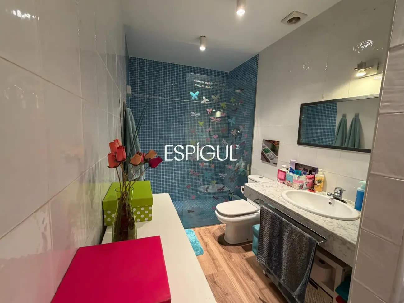 Planta baja en venta en Montilivi