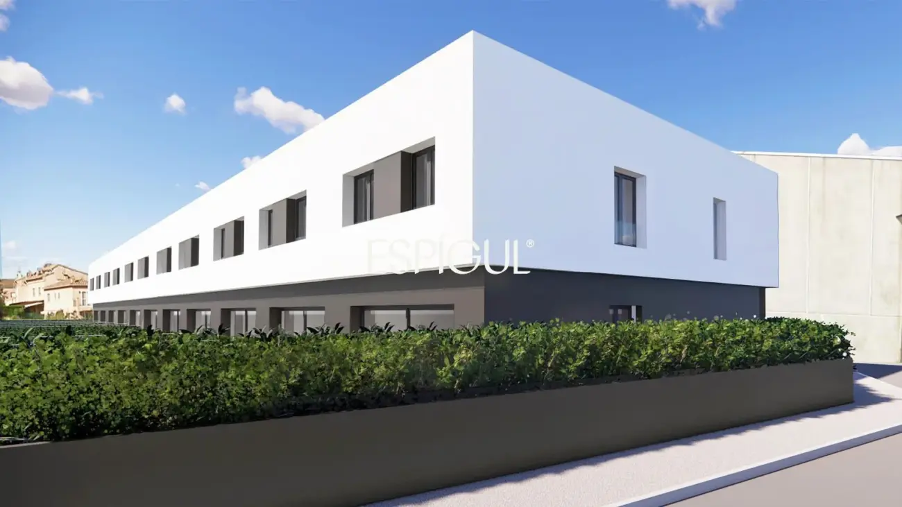 Casa de obra nueva en Melianta