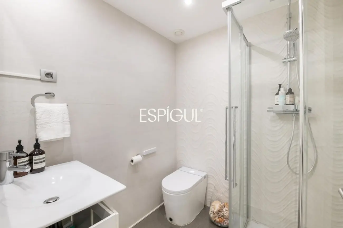 Two homes with a large 100 m² terrace and possibility of joining them together