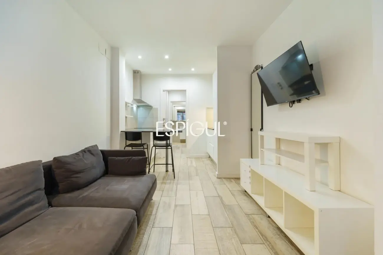 Estudi reformat i molt funcional a Sants-Olzinelles