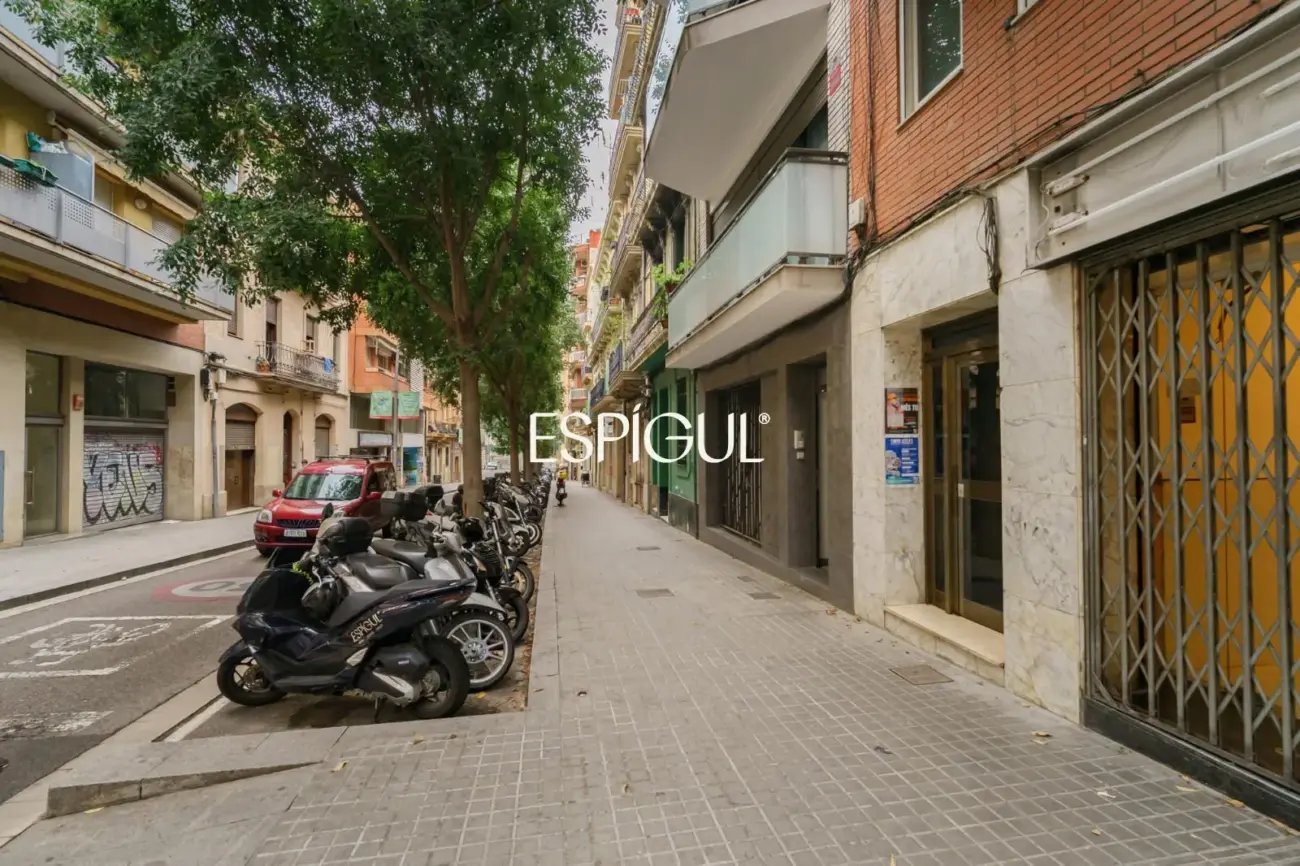 Estudio reformado y muy funcional en Sants-Olzinelles