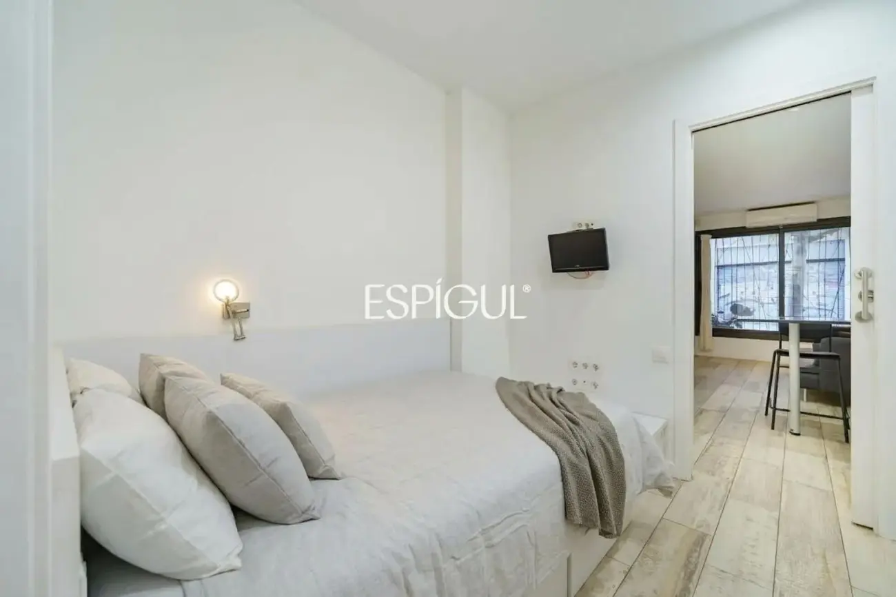 Estudio reformado y muy funcional en Sants-Olzinelles